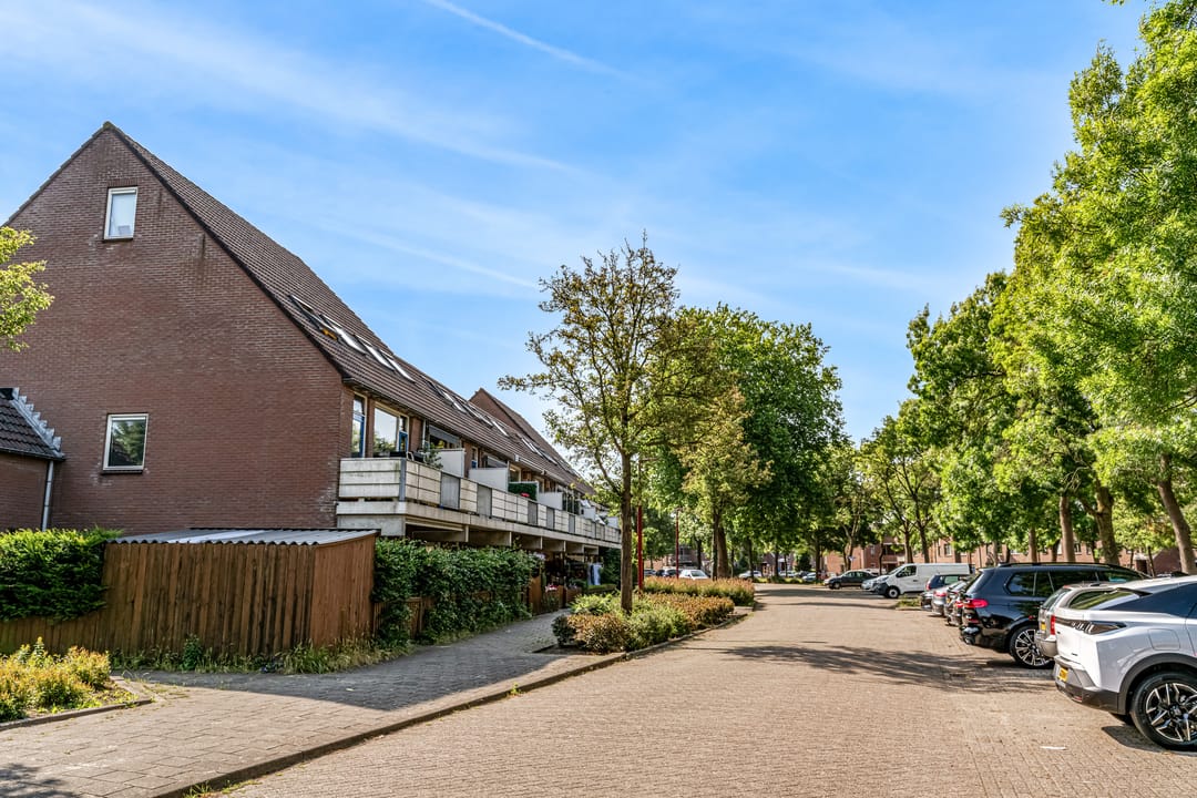 Foto 31 van Goudfazant 34