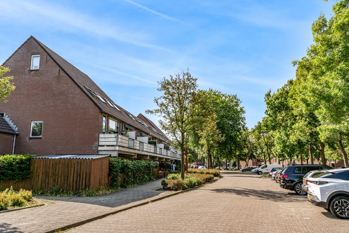 Foto 31 van Goudfazant 34