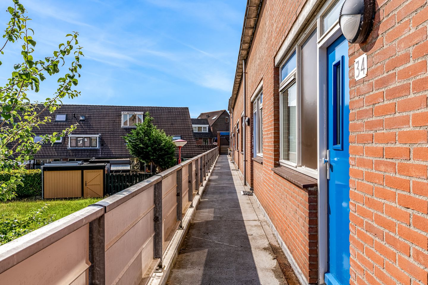 Foto 34 van Goudfazant 34