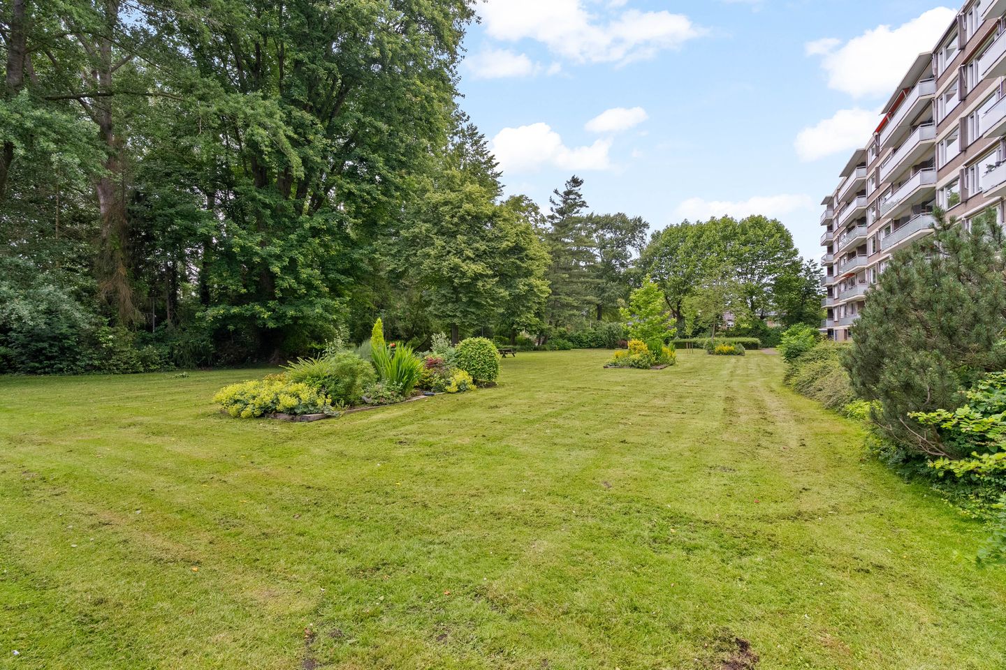 Foto 25 van Van der Helmstraat 305