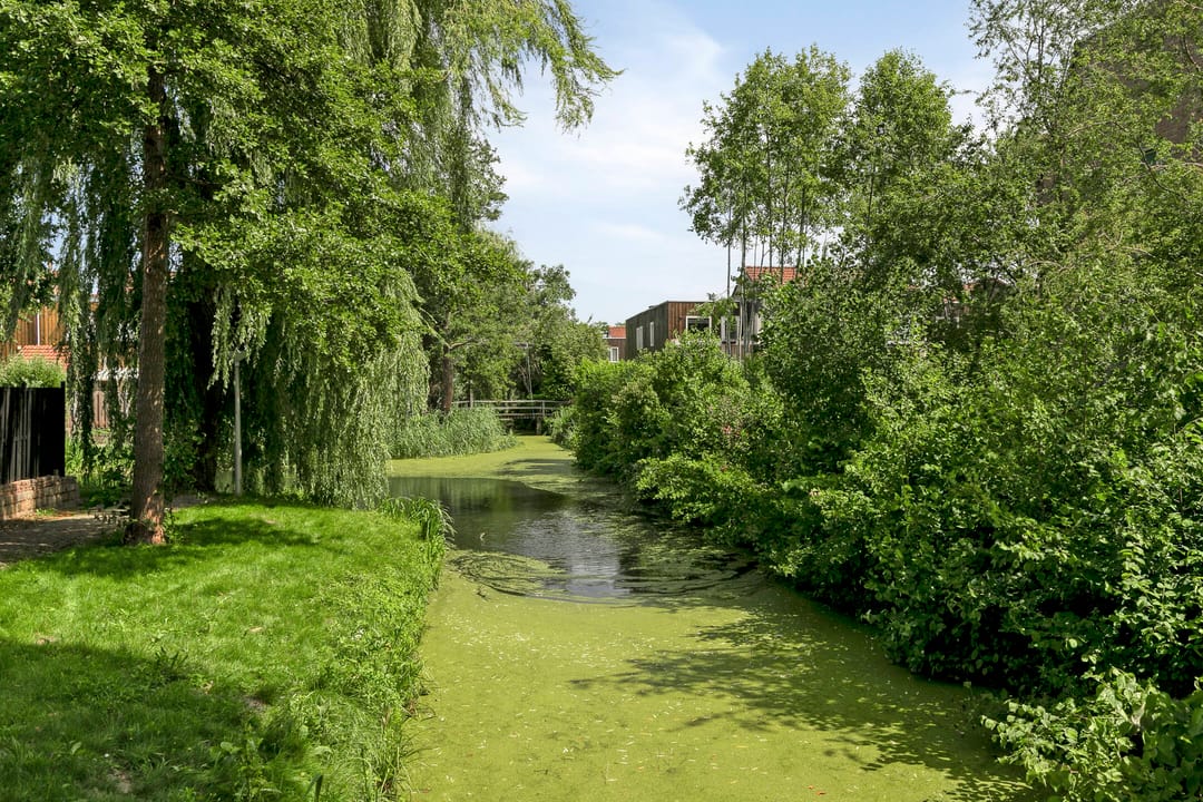 Foto 41 van Toepad 16