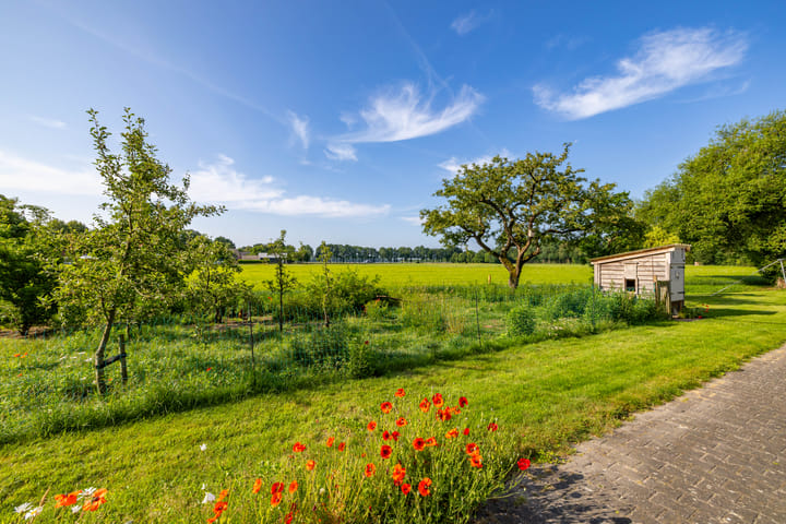 Foto 7 van Schoonloërstraat 1