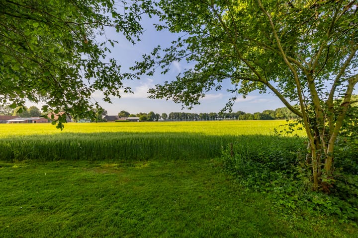 Foto 15 van Schoonloërstraat 1