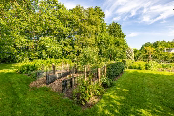 Foto 16 van Schoonloërstraat 1