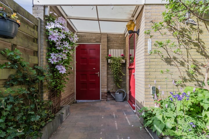 Foto 35 van Buddlejalaan 88