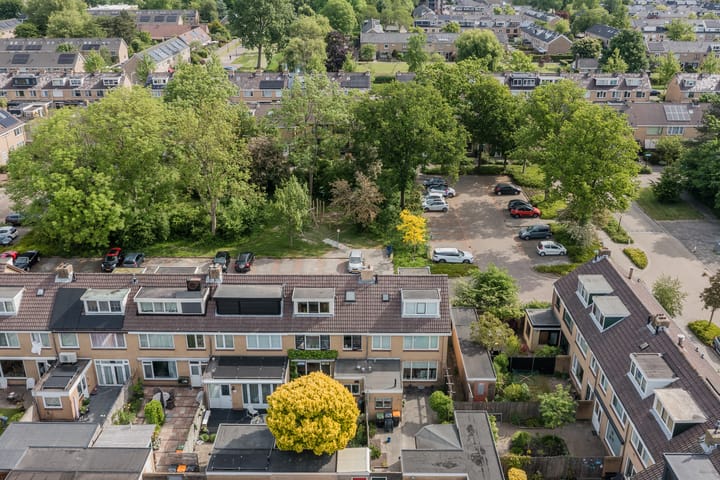 Foto 38 van Buddlejalaan 88