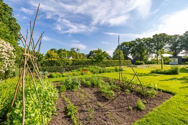 Foto 22 van Schoonloërstraat 1