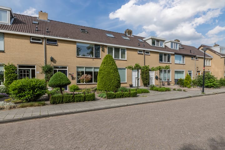 Foto 44 van Buddlejalaan 88