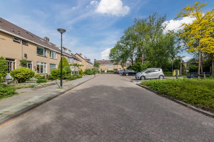 Foto 47 van Buddlejalaan 88