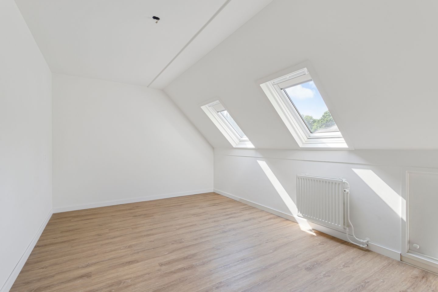 Photo 19 of Maria Koijenhof 39