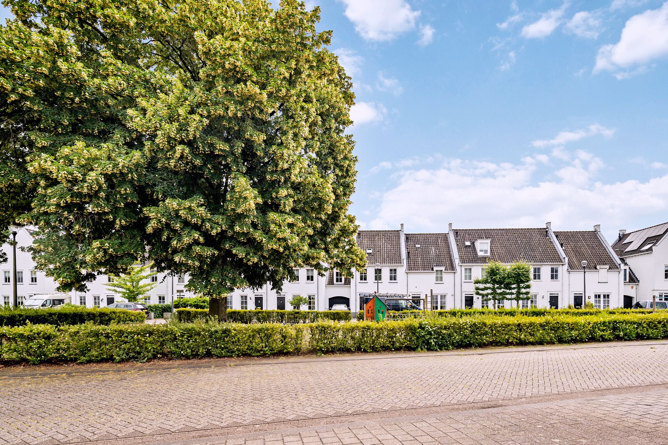 Foto 6 van Biesveldje 10