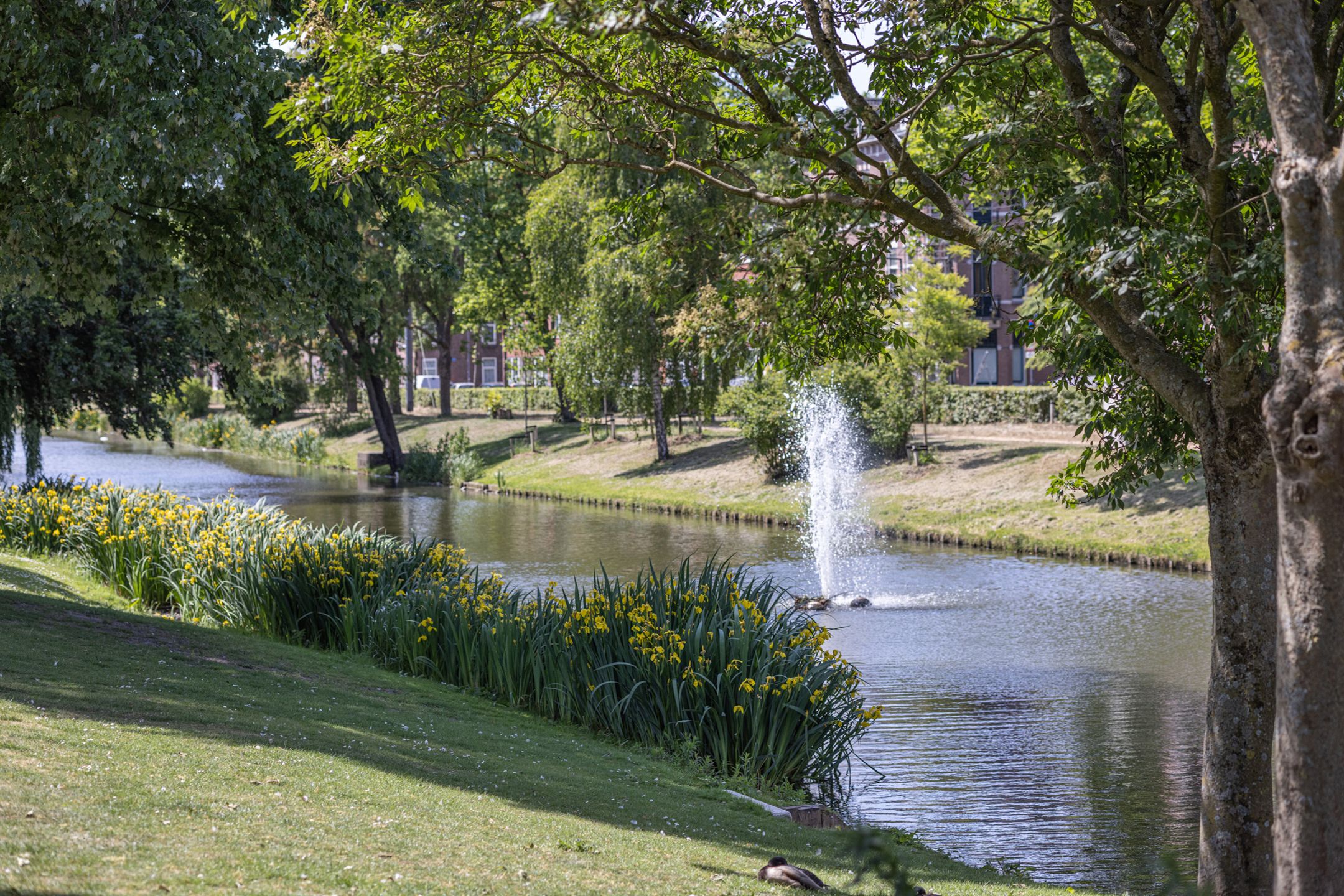 Foto 24 van Boergoensevliet 2-A