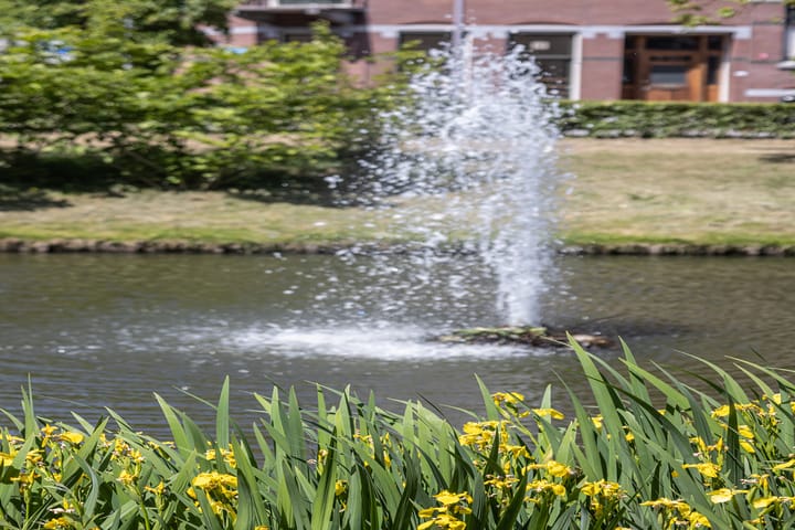 Foto 26 van Boergoensevliet 2-B