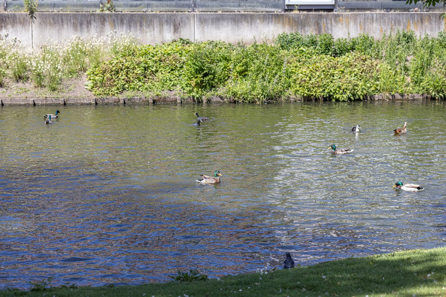 Foto 29 van Boergoensevliet 2-B