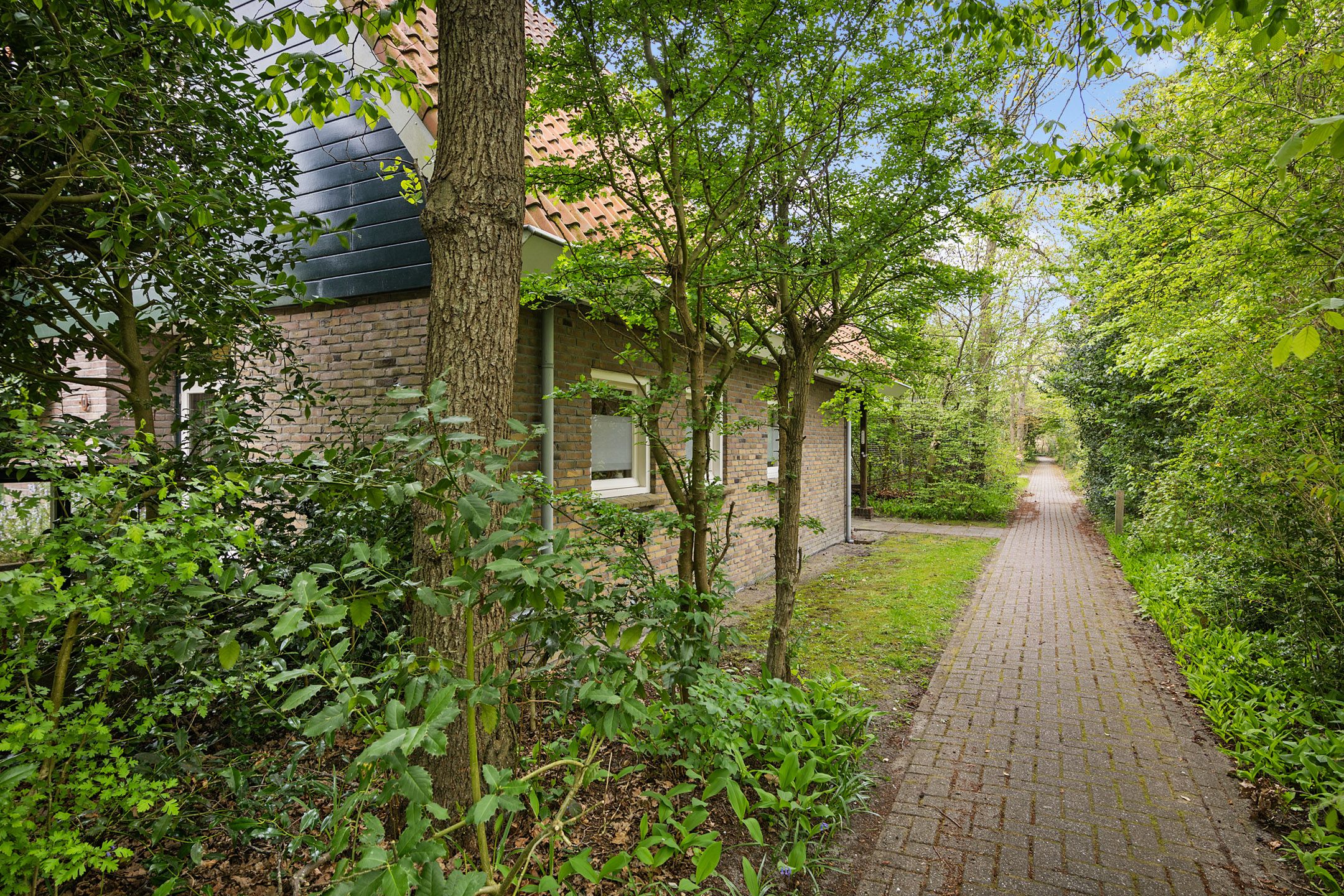 Foto 9 van Duinweg Midsland 25-M