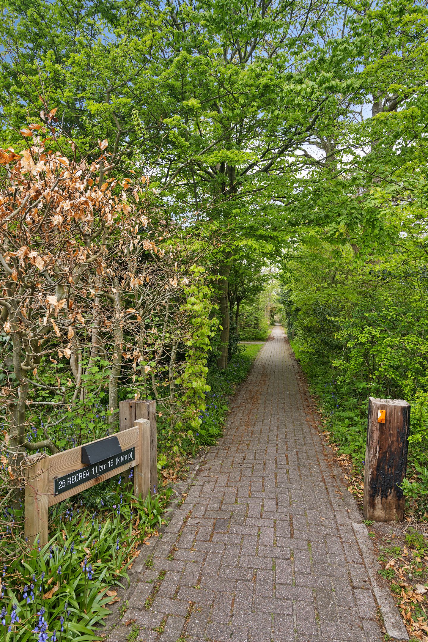 Foto 10 van Duinweg Midsland 25-M