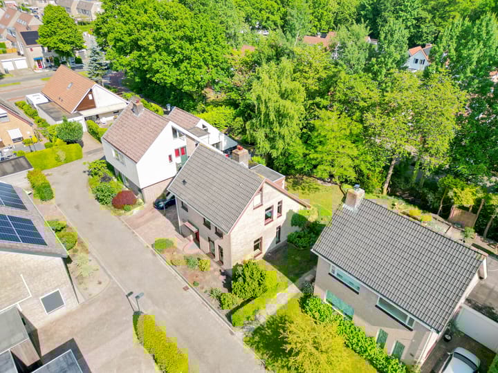 Foto 41 van De Rival 26