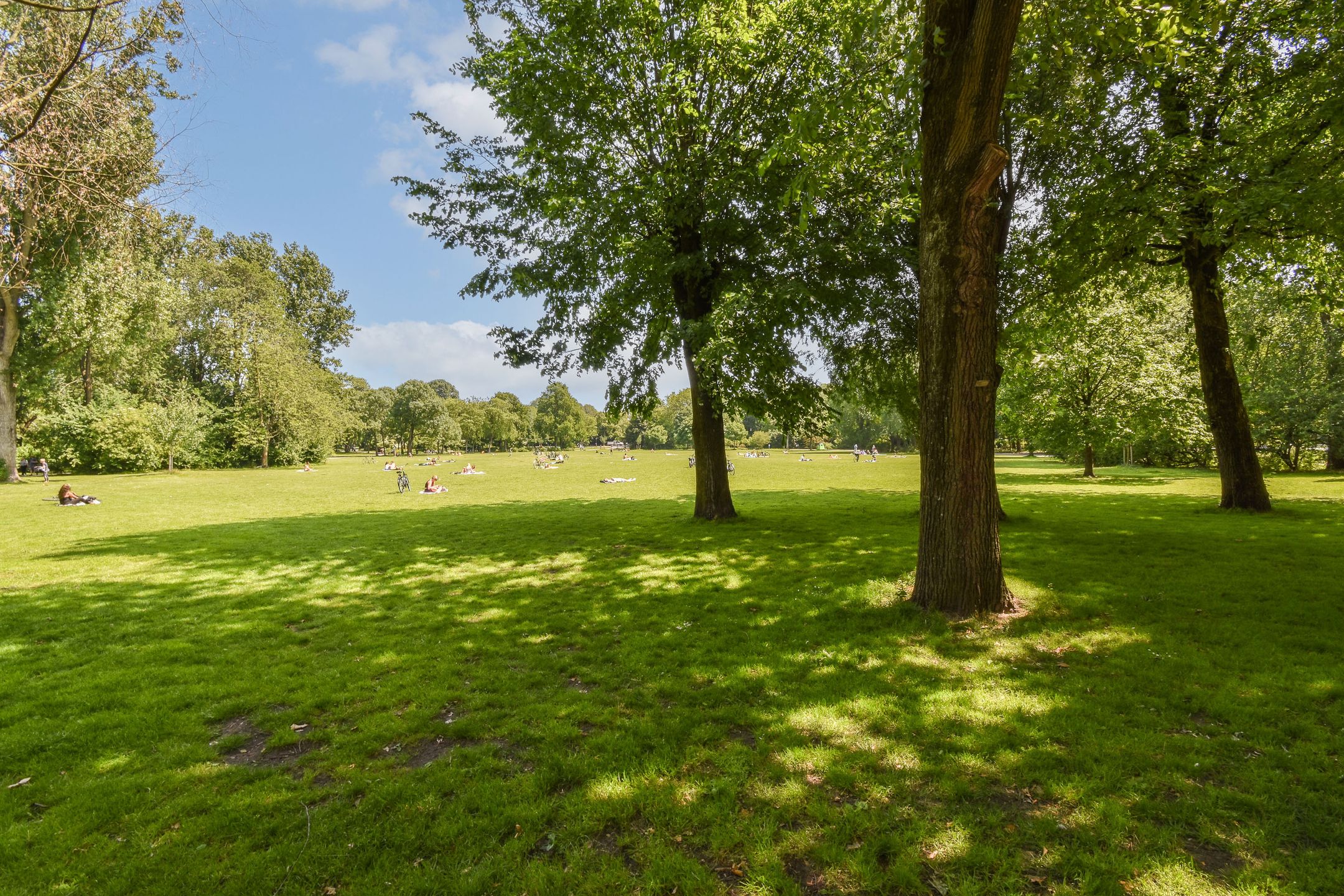 Foto 24 van Ruyschstraat 93-H