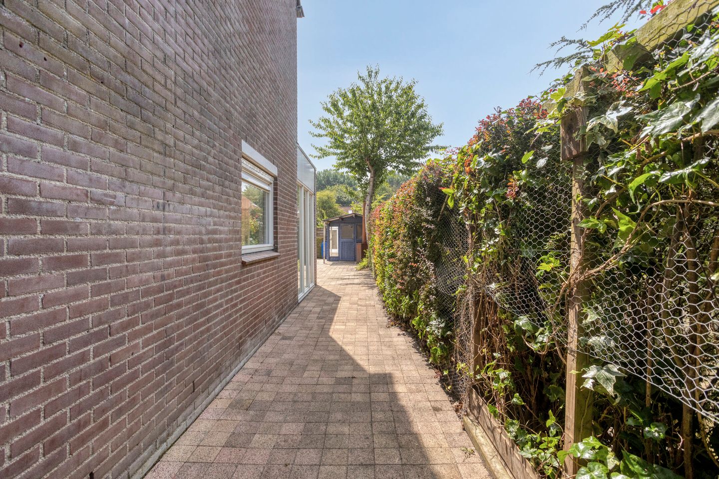 Foto 34 van Hoefijzer 17