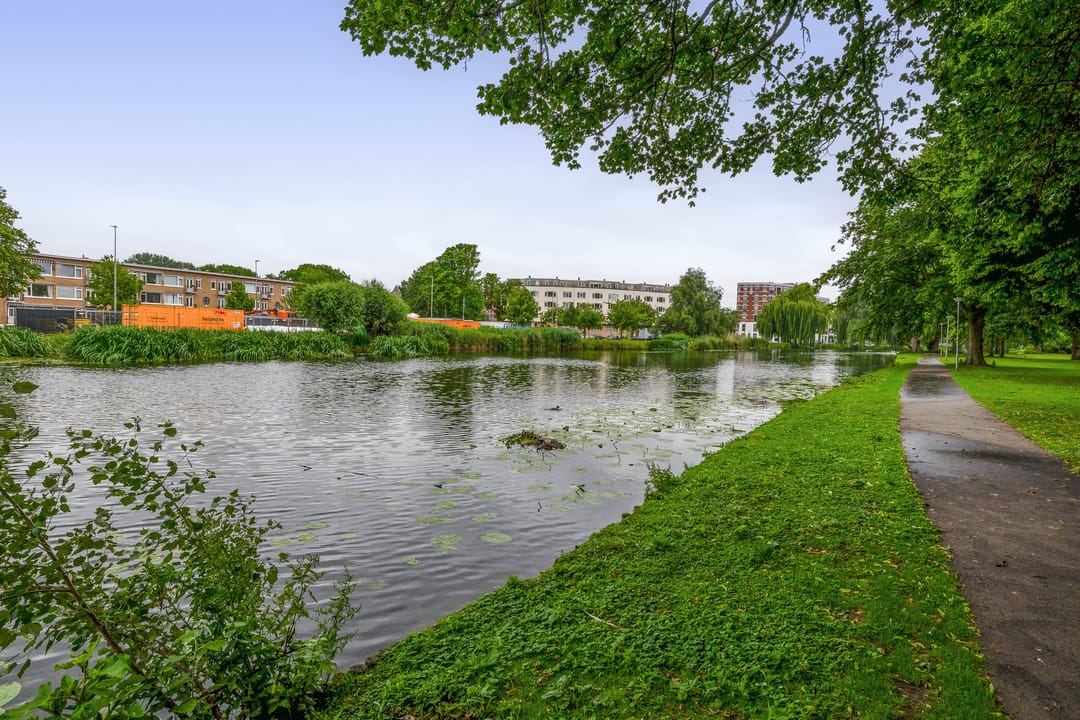 Photo 26 of Schapendreef 107