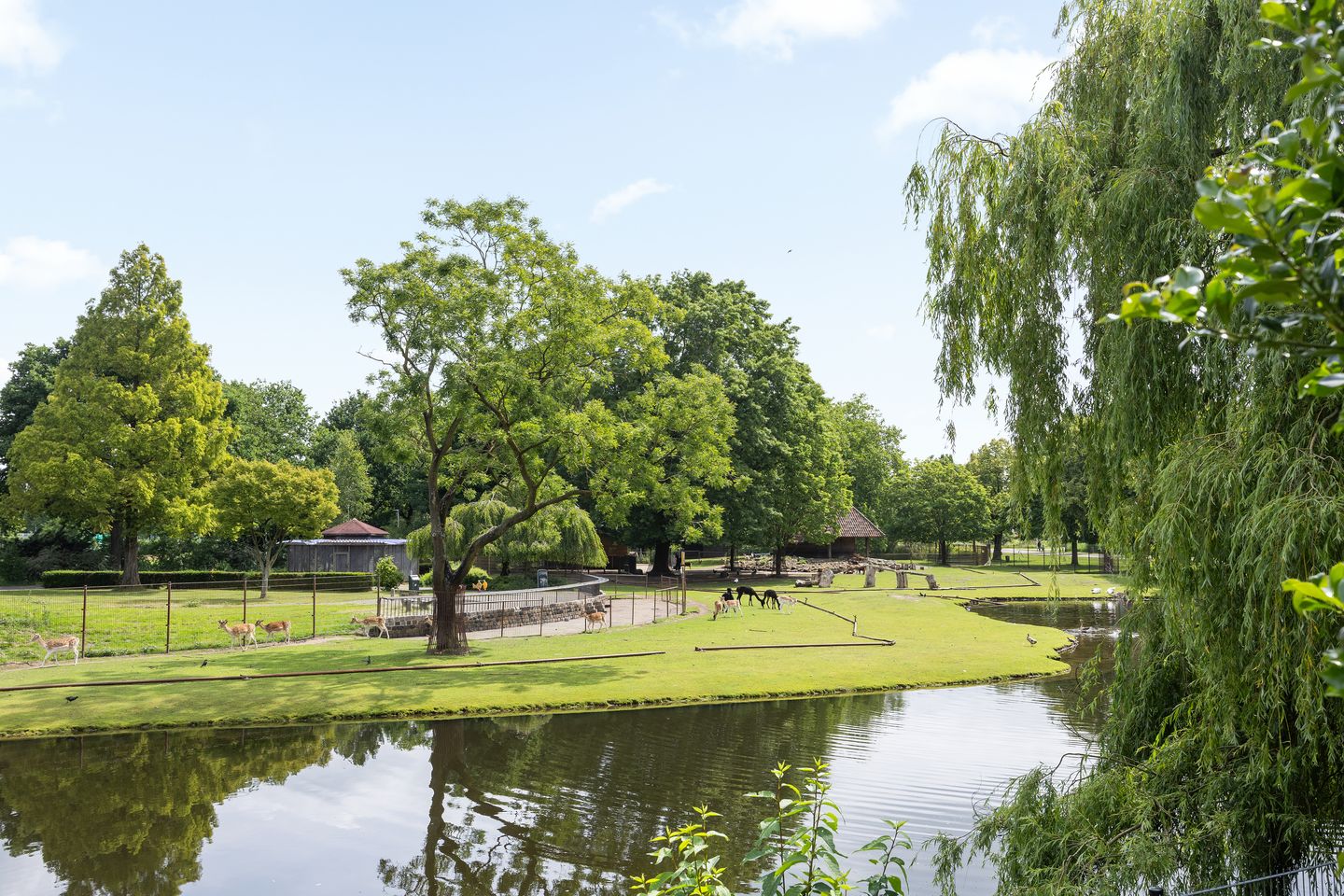 Foto 35 van Binnenhof 8