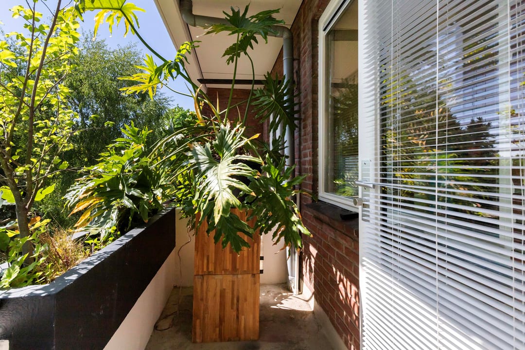 Foto 8 van Saturnusstraat 15