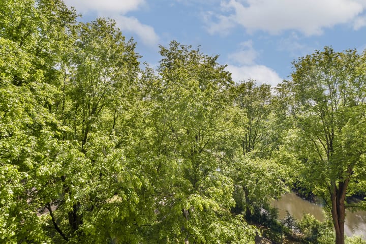 Foto 16 van Langswater 586