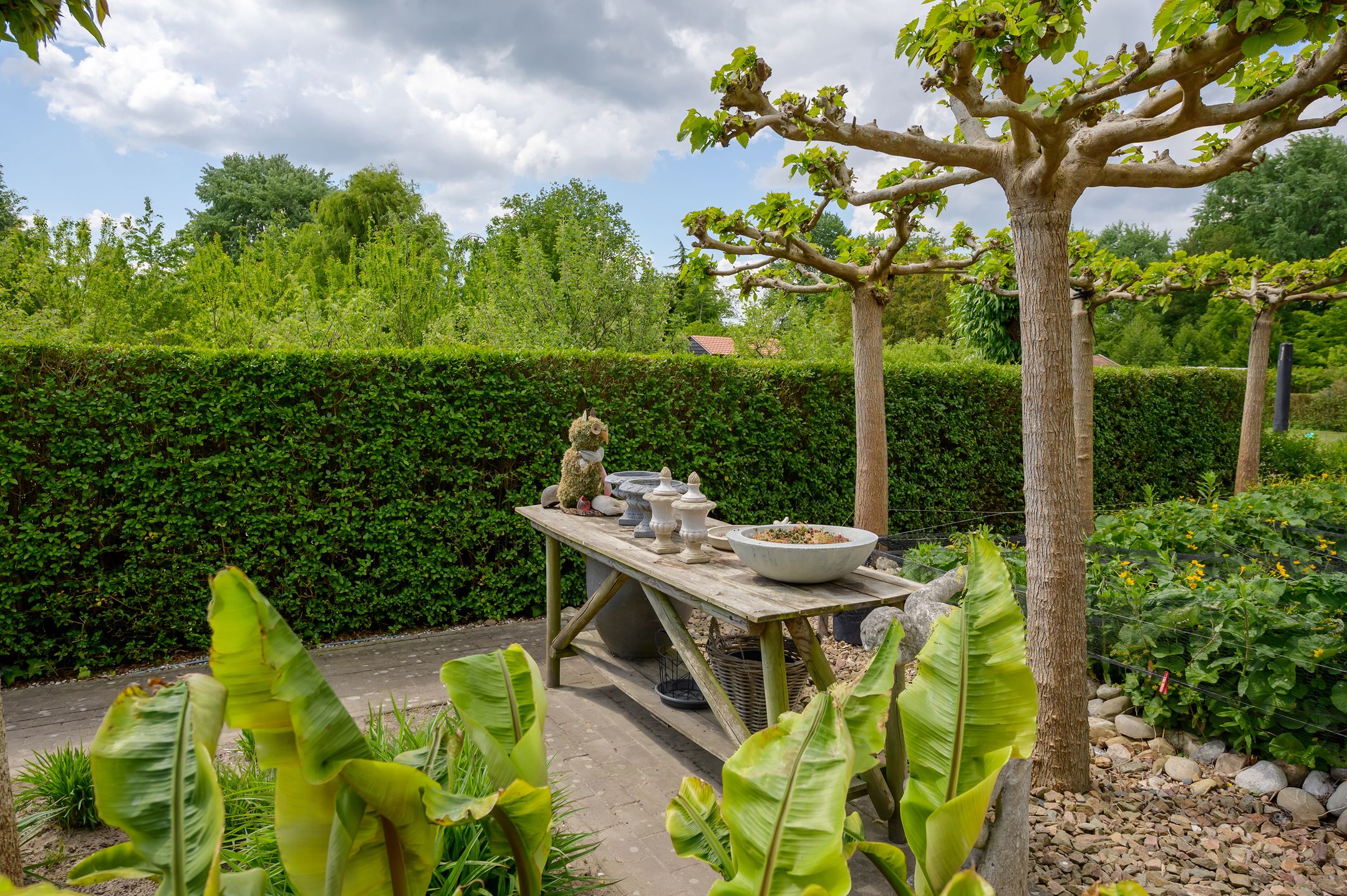 Foto 33 van Korteweegje 24