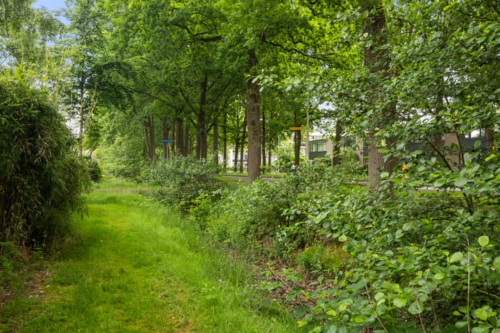 Foto 4 van De Grutto 60