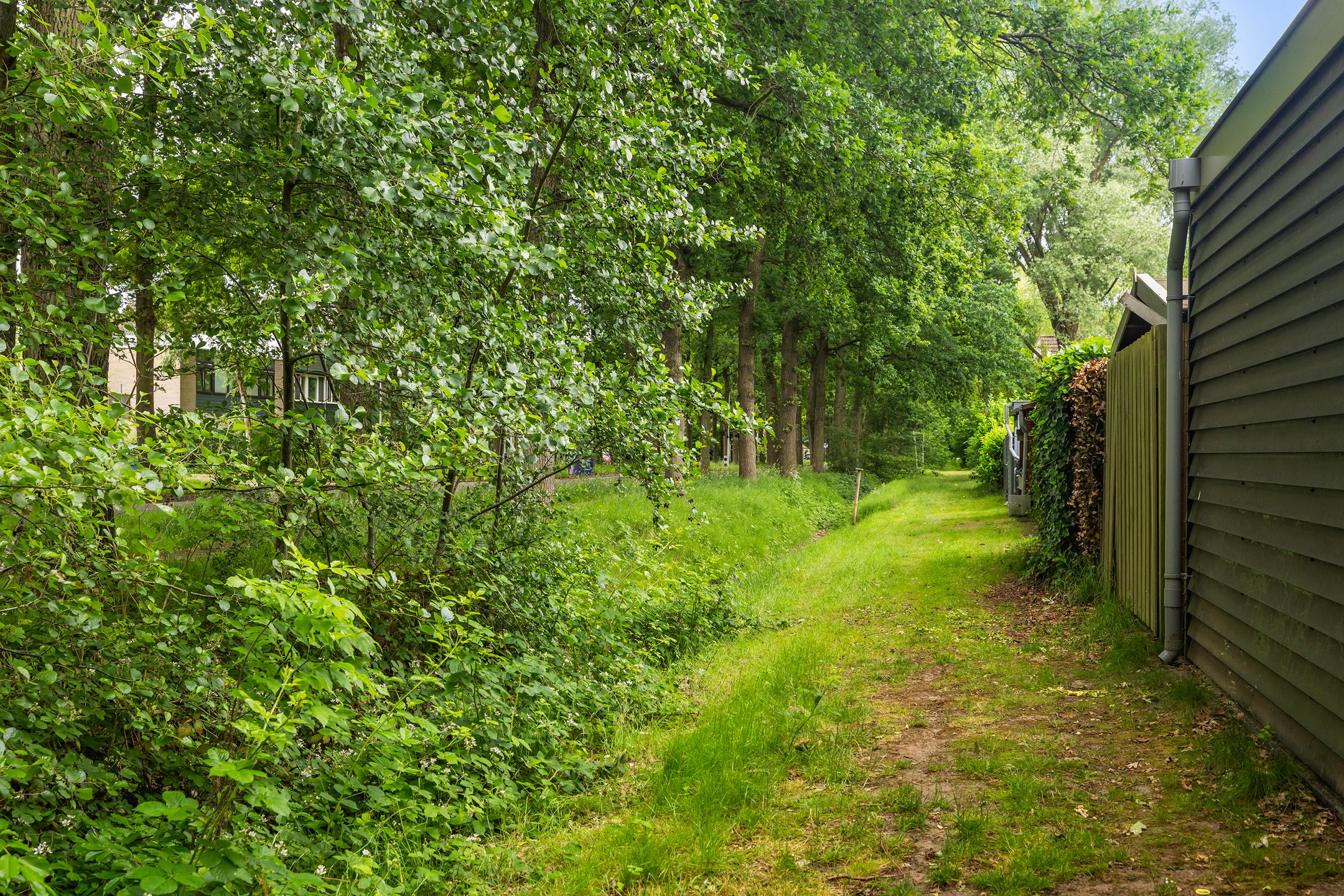 Foto 9 van De Grutto 60