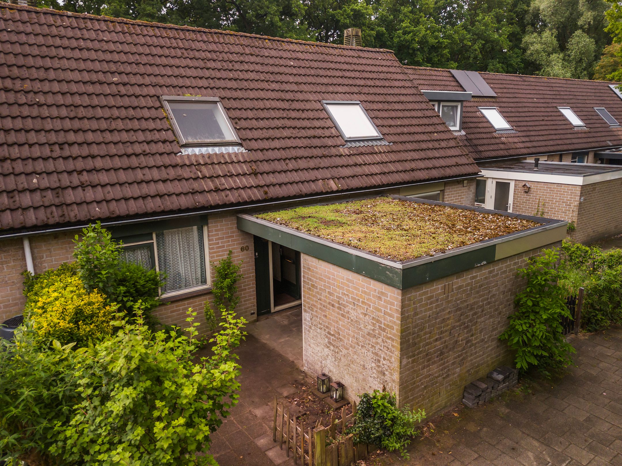 Foto 21 van De Grutto 60