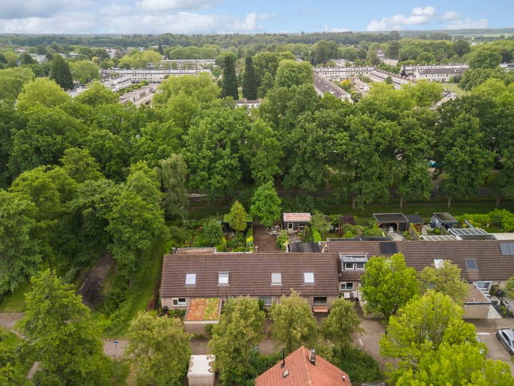 Foto 22 van De Grutto 60