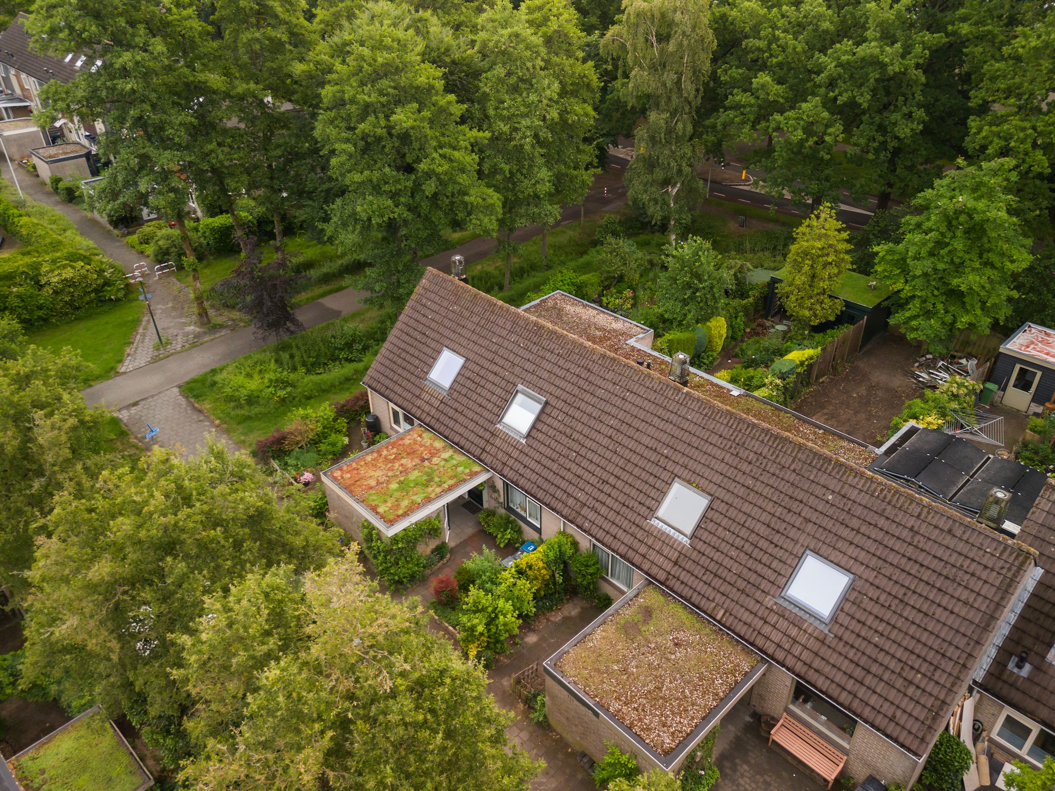 Foto 24 van De Grutto 60