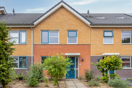 undefined main image