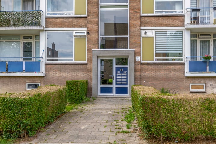 Photo 7 of Nieuwenoord 173