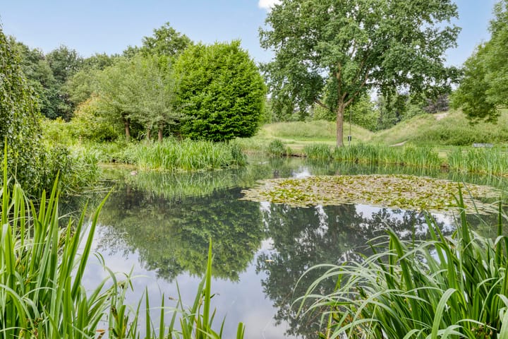 Foto 34 van Meerdijkpark 16