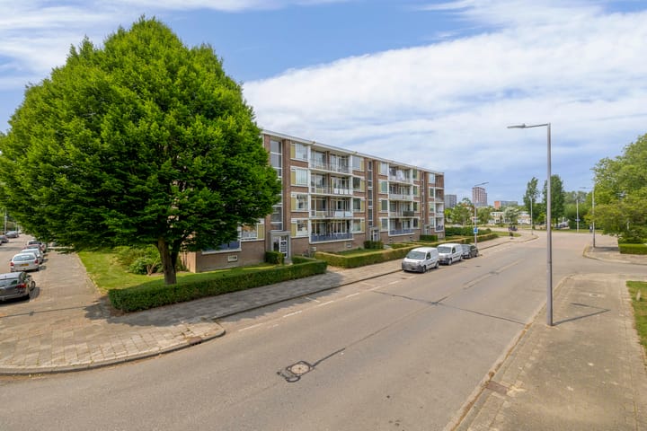 Photo 36 of Nieuwenoord 173