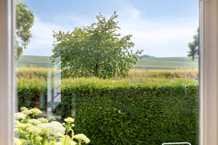 Foto 28 van Johan Kleinendreef 2