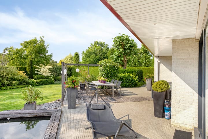 Foto 69 van Johan Kleinendreef 2