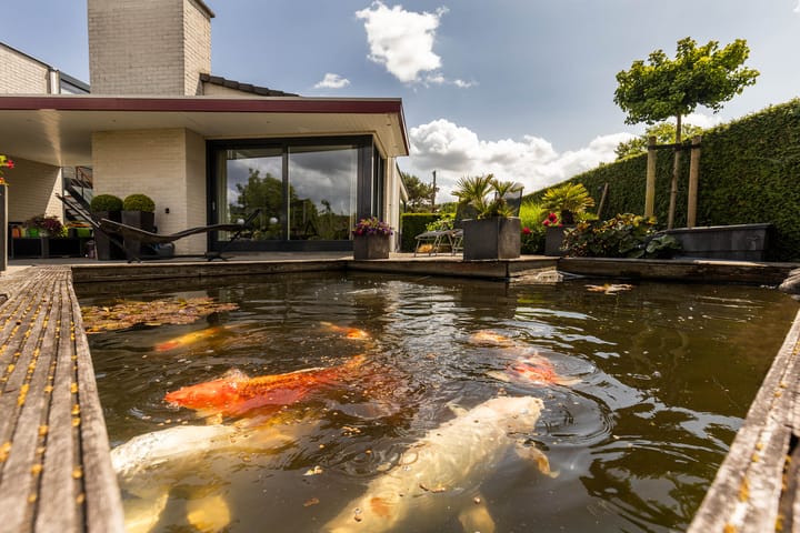 Foto 71 van Johan Kleinendreef 2