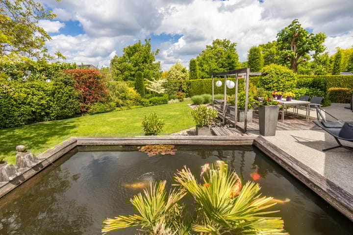 Foto 73 van Johan Kleinendreef 2