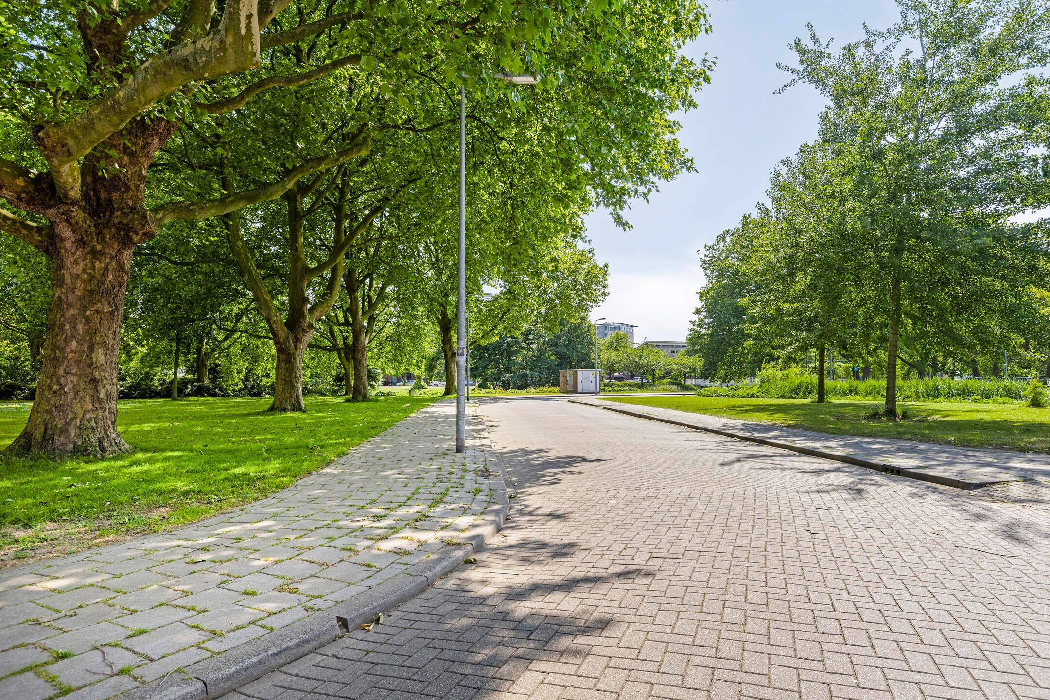 Foto 45 van Willem Passtoorsstraat 34