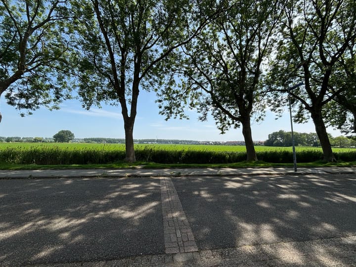 Foto 25 van P. van Zoonenstraat 19