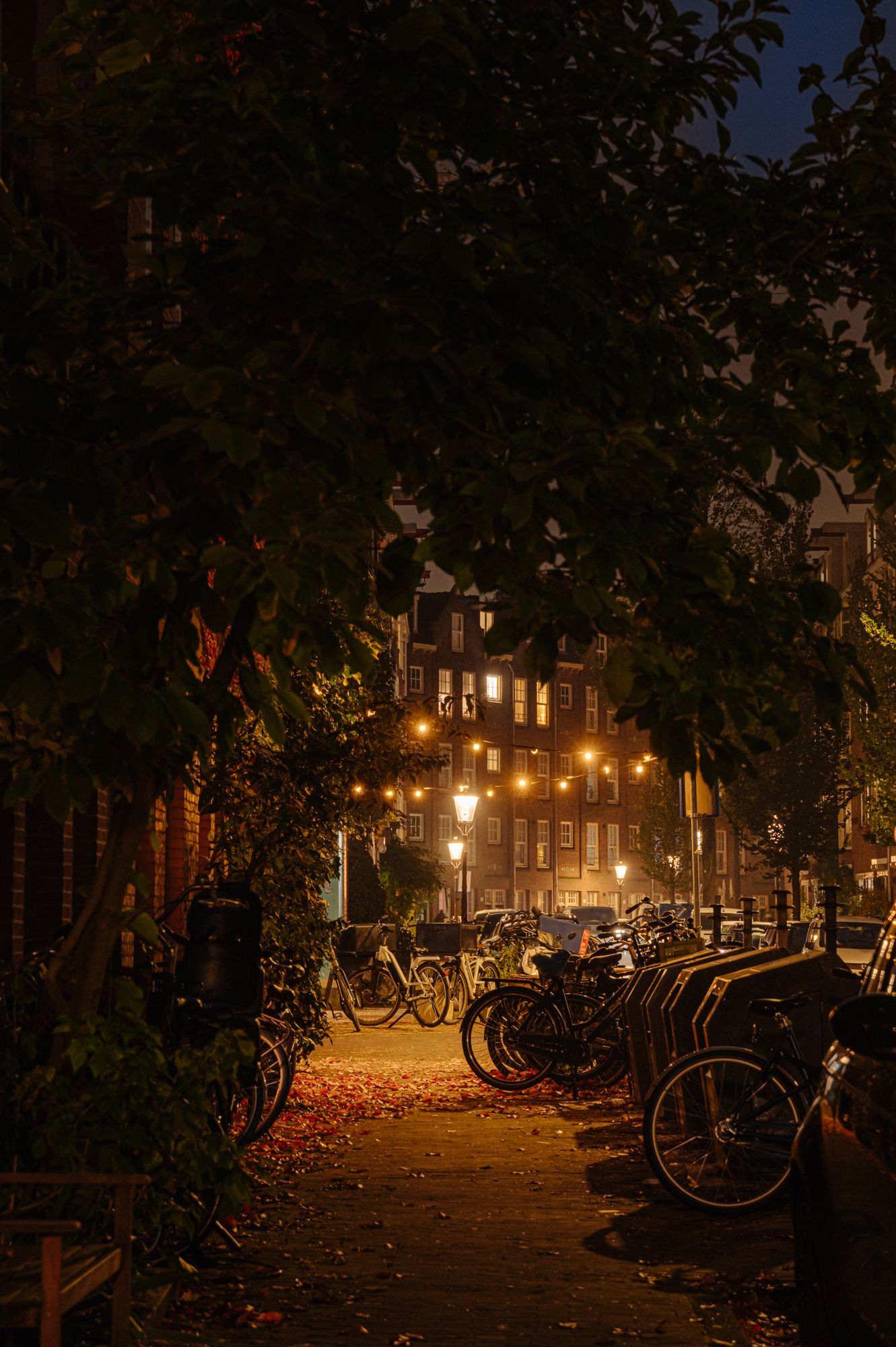 Foto 39 van Hasebroekstraat 33-H