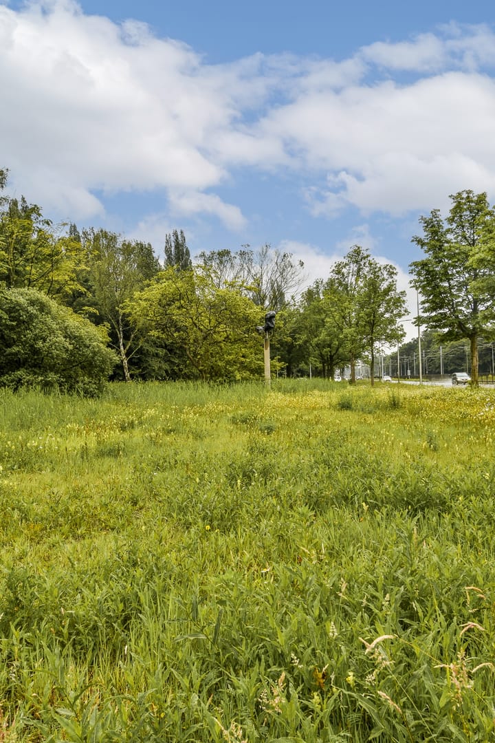 Foto 21 van Maimonideslaan 87