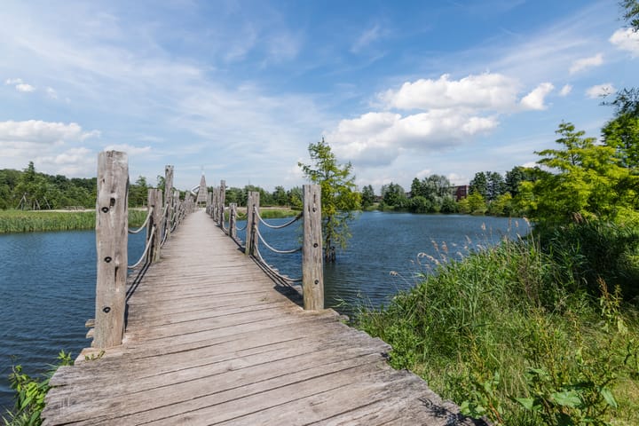 Foto 40 van Tonselsedreef 3