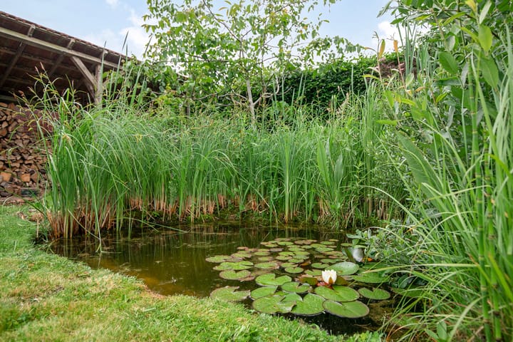 Foto 64 van Baarleseweg 52