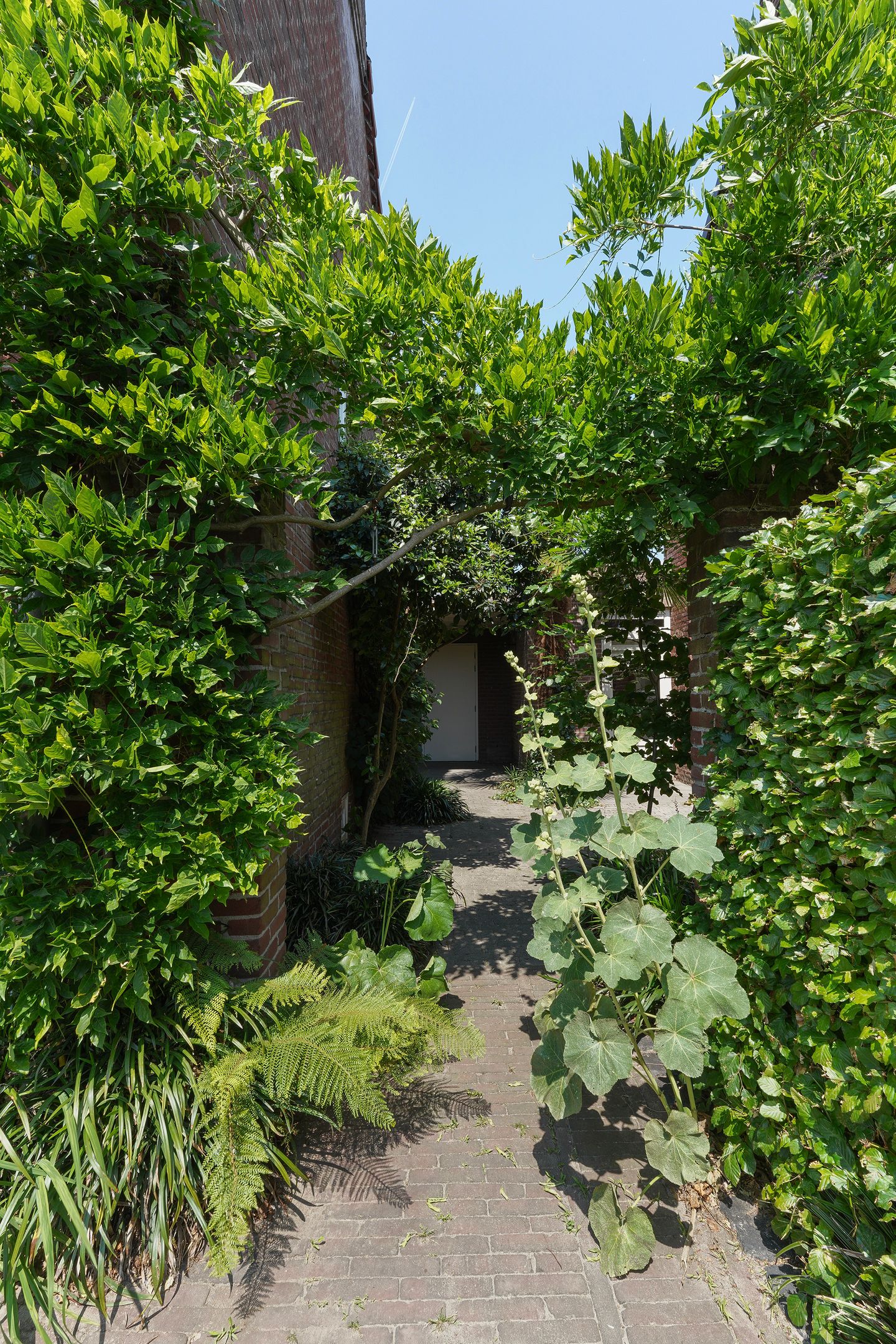 Photo 40 of Beukendreef 50