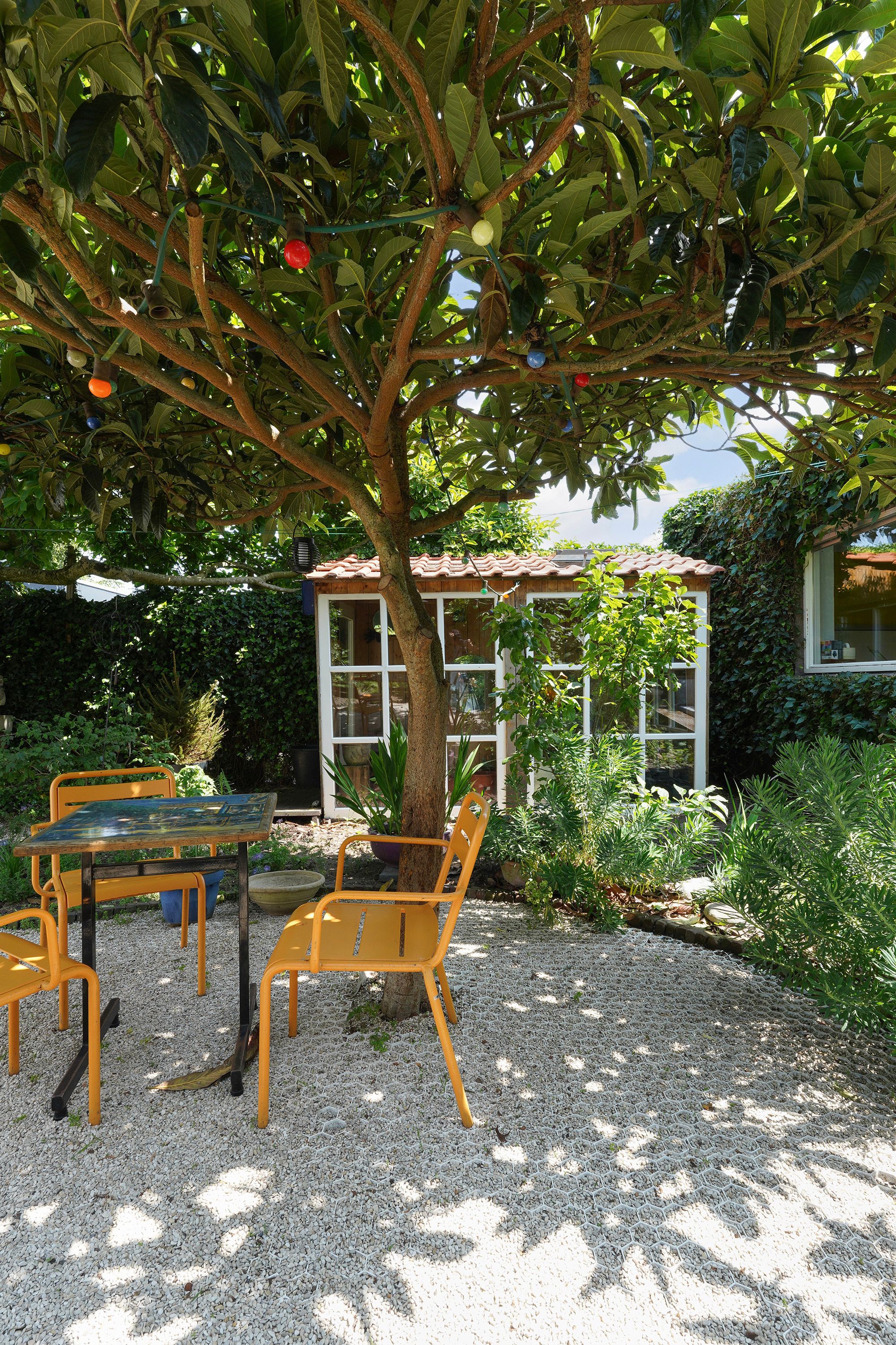 Photo 48 of Beukendreef 50