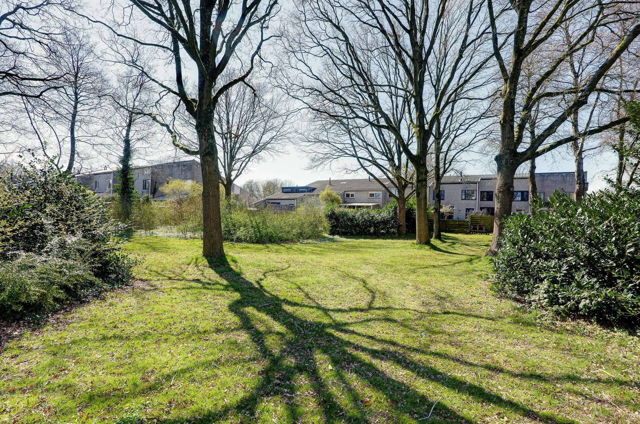 Foto 42 van De Wouden 40